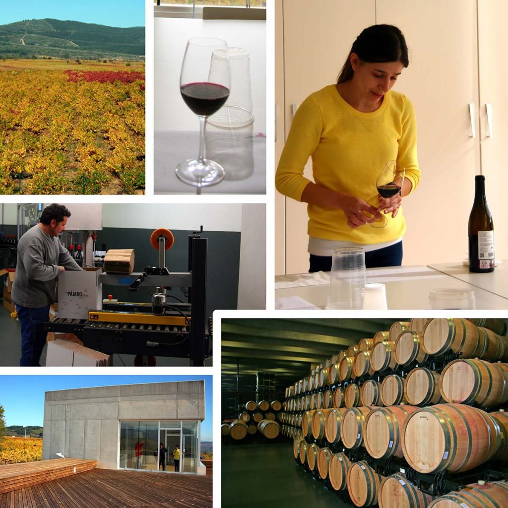 Losada bodega barricas cata viñedo embotelladora