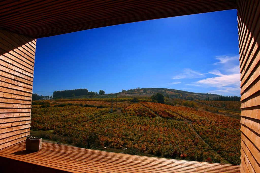 Losada bodega mirador a Castro Ventosa