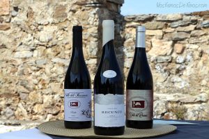 Familia de vinos Valle del Recunco