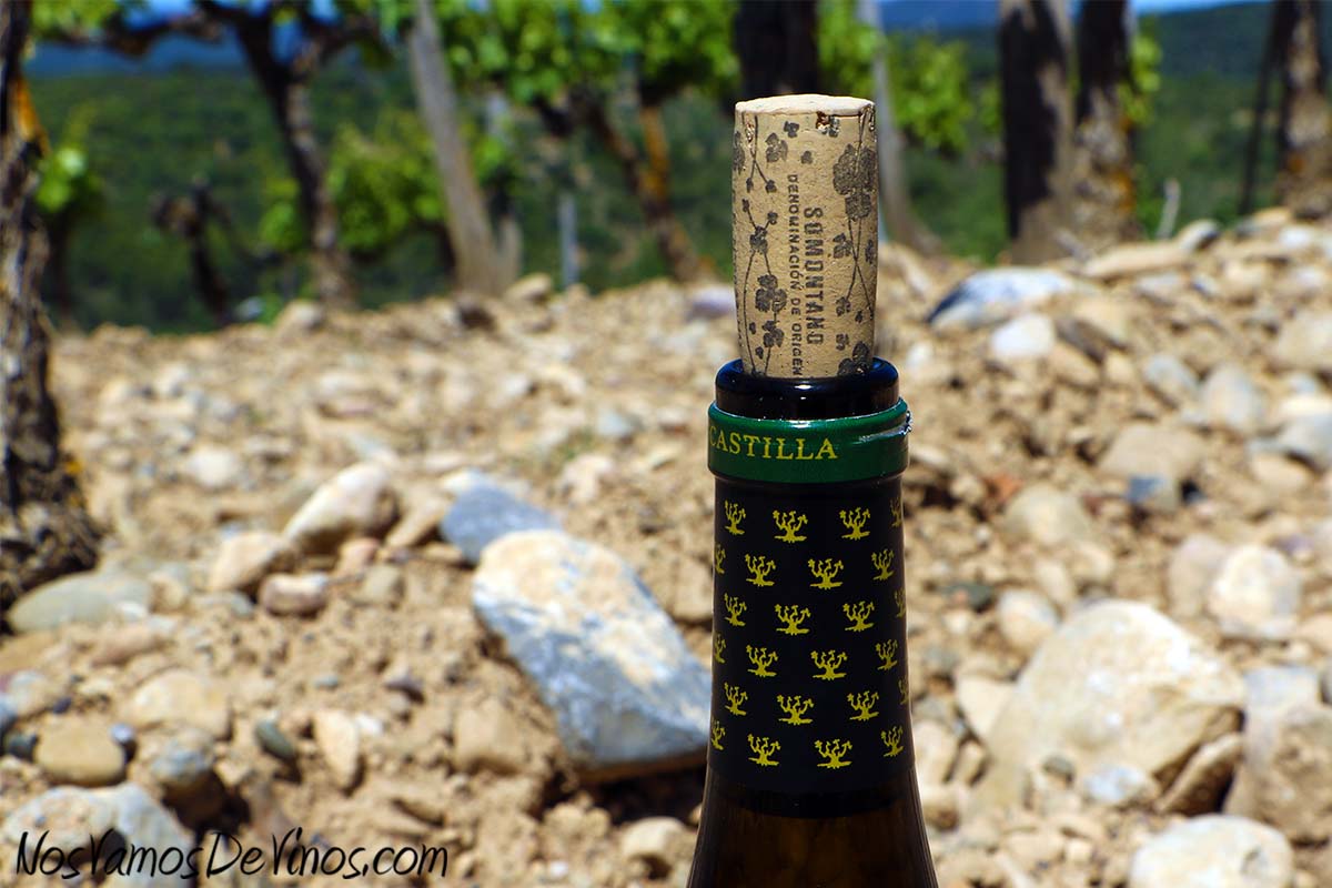 Secastilla La Miranda Garnacha Blanca 2017 Cápsula y corcho