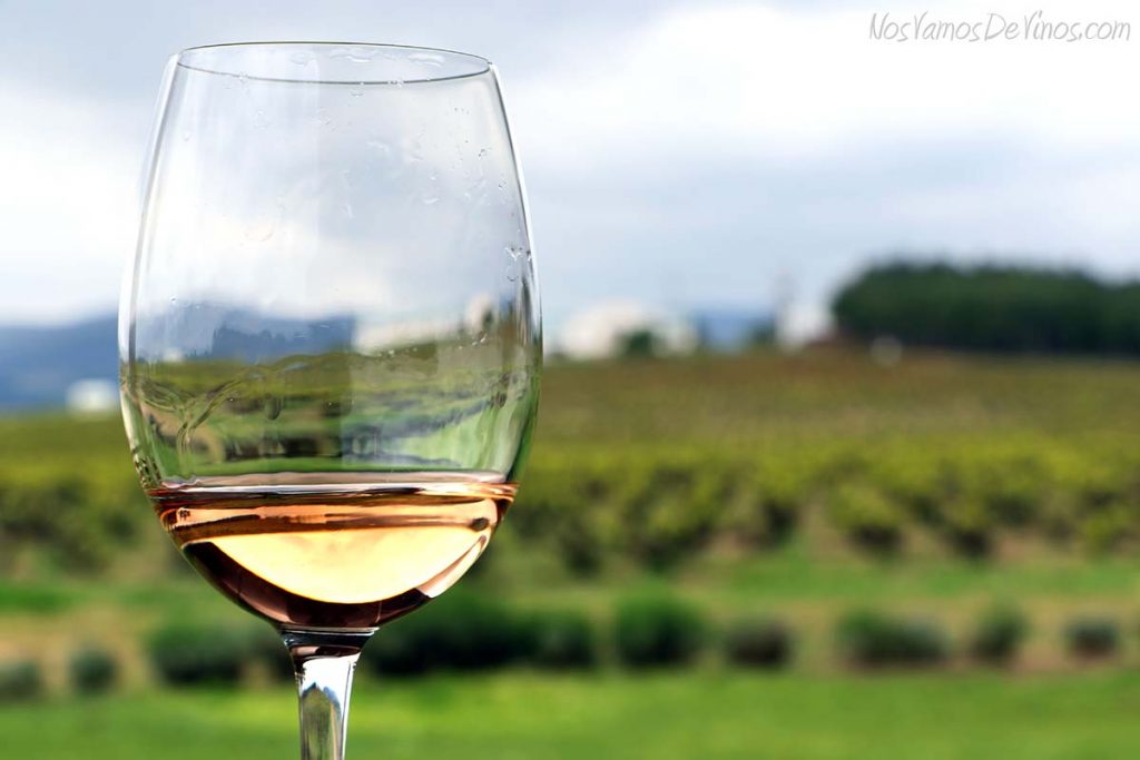 Conversa Rosé 2016 Rioja Copa