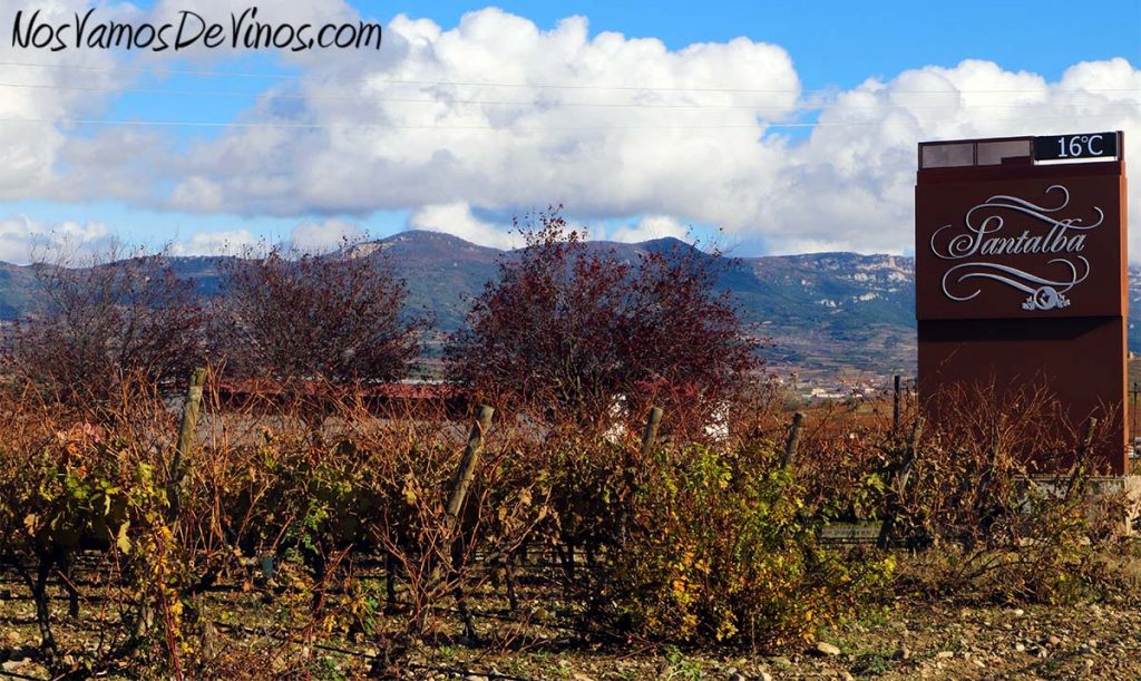 Bodegas Santalba. Viña Hermosa, viñedo ecológico experimental