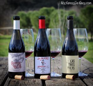 Cata horizontal: Mencía de El Bierzo con crianza 2018