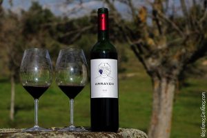 Arrayán Syrah 2016