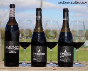 Cata vertical de Buencomiezo 2014, 2015 y 2016.