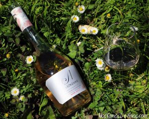 A de Arínzano Rosé 2019