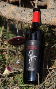 Dominio de Berzal Graciano 2019