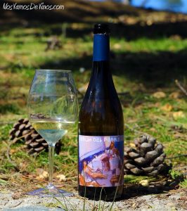 La Cobija del Pobre Godello 2019
