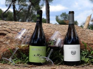 Avancia Godello Old Vines 2019 & Mencía Old Vines 2019