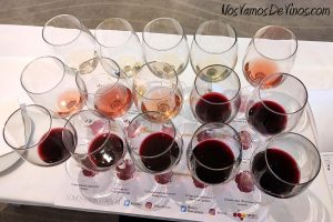 Cata de Ribera del Duero en Experiencia Verema Madrid