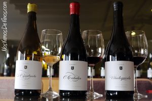 Cata de vinos de O Cabalín.