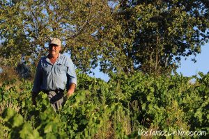 Visita al viñedo de Bodega Feo y cata de nuevas añadas. Aurelio Feo en la parcela de Las Aragonas (Norte).