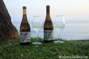 Godelola Godello 2020 & Godelola Godello sobre Lías 2020