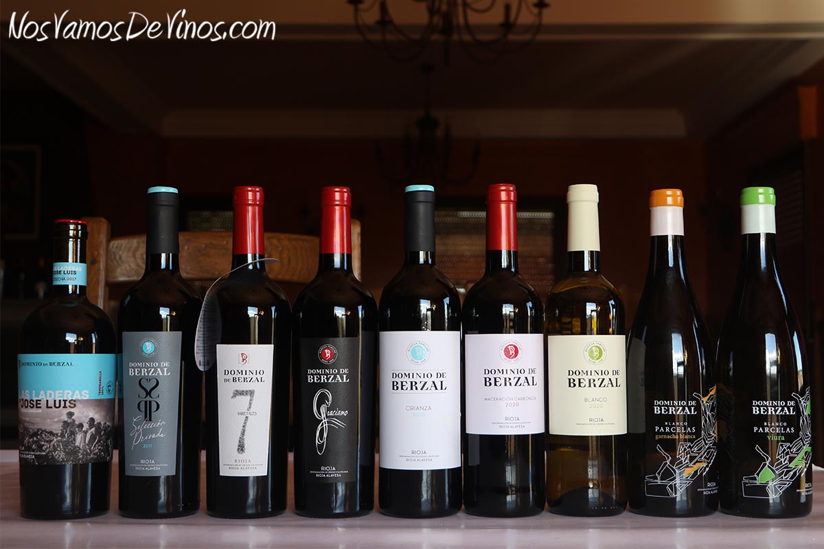 Los nueve vinos de Dominio de Berzal.