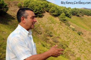 Juan Muñoz, Viñedos Verticales