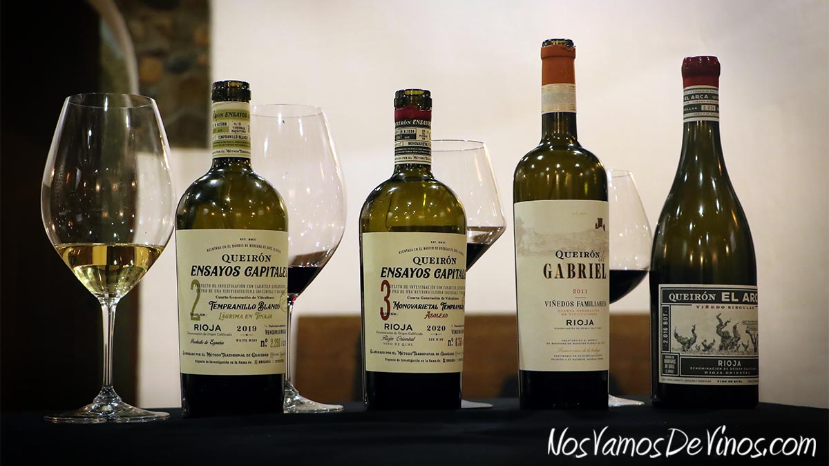 Cata de vinos de Queirón Viñedos Familiares.