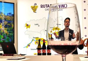 Rutas del vino de Castilla y León