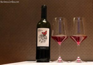 Aranleón Blés Crianza 2019