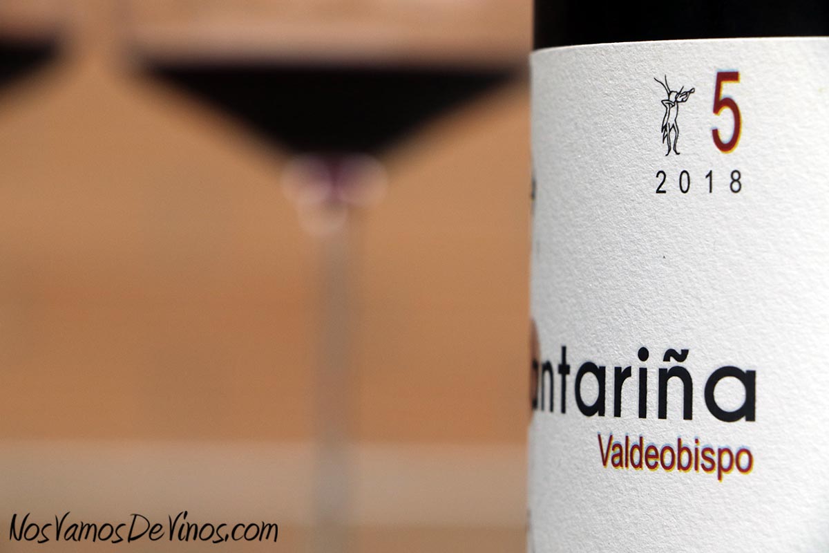 Cantariña 5 Valdeobispo 2018 Detalle Etiqueta