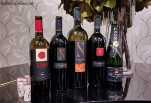 Descubriendo Numanthia: Viñedo, cata y maridaje.