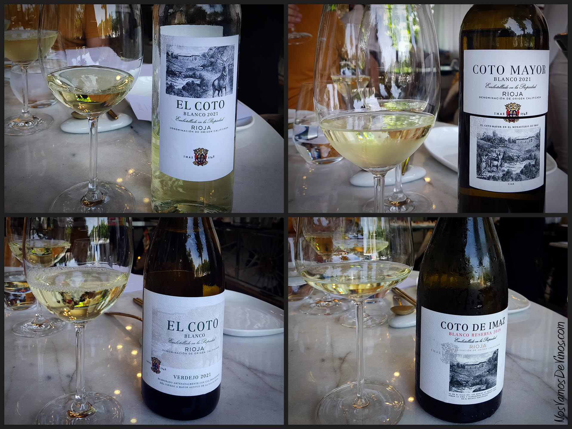 Cata de vinos blancos de El Coto de Rioja