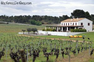Finca Cor Ví