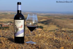 El Sastre y el Simio Crianza 2018