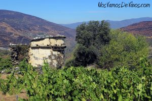Adega O Cabalín. Palomar en el viñedo de Caidó