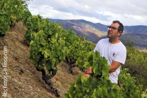 Nacho Álvarez Losada, enólogo de Pago de los Abuelos, en el viñedo del Bierzo
