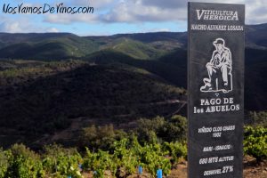 Un auténtico monolito de pizarra identifica cada una de las viñas de Pago de los Abuelos.