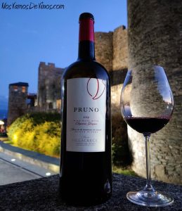 Pruno 2019 Sin