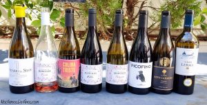 I Jornada de Puertas Abiertas de la D.O. Arlanza