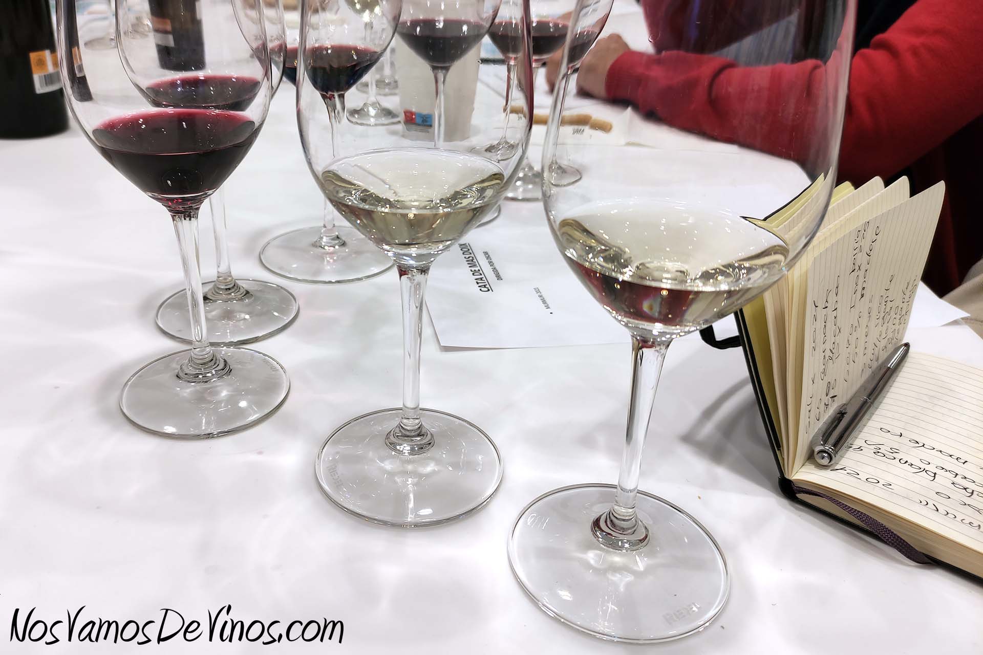 Cata de vinos de celler Mas Doix en Outlet de Vinos. Murmuri y Salix 2021.