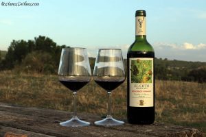 El Coto Crianza Ecológico 2019