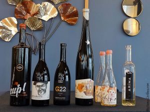 Bizkaiko Txakolina botellas comida