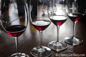 Cata de vinos de Cebreros: Urdiense Viñas Viejas, Cható Gañán La Payana, Viñedos del Jorco Las Enebradas y Avaviento El Suspiro de Goyo. Copas