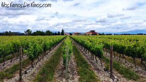 Finca La Emperatriz, bodega y viñedo