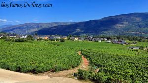 Visita a Valdeorras