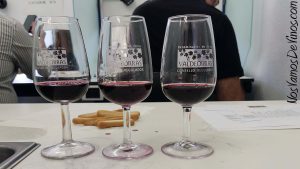 Visita a Valdeorras, cata oficial