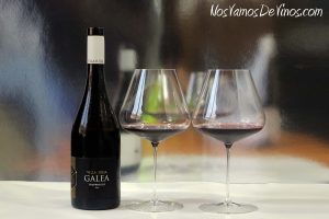 Villa Iulia Galea 2019