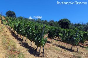 Dominio de Tares. Finca Mata del horno