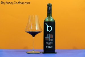 Buezo Petit Verdot Reserva 2005
