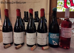 Cata de vinos de la D. O. Arlanza