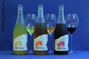 Campestral Ancestral Blanco, Clarete y Tinto