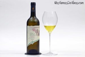 Fino en Rama Fernando de Castilla Saca Primavera 2023.