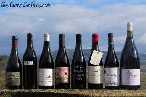 Garnacha Tintorera de El Bierzo.