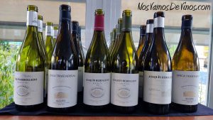 Cata de los vinos de Joaquín Rebolledo