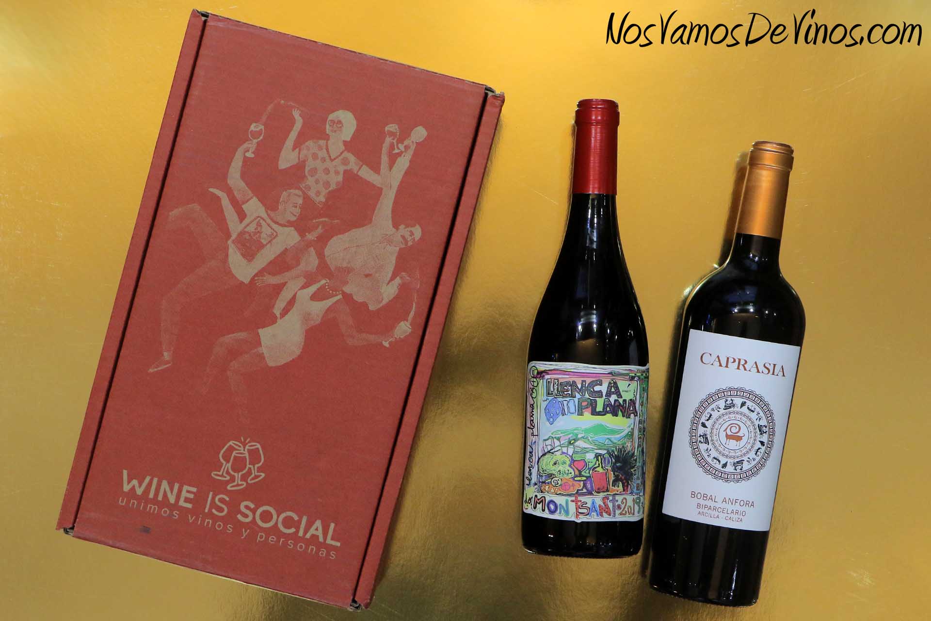 Vino barato club de vinos oferta promoción Wine is Social