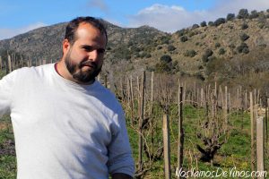 Juanan Rico Nuevo en su viña de La Razuela, en Burgohondo