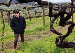Visita a Bodegas Gerardo Méndez, Do Ferrerio.